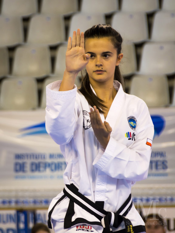 DIA DEL TAEKWONDO ABRIL 2017_3779.JPG